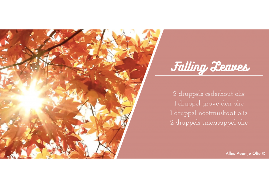 DIFFUSER BLEND | falling leaves 